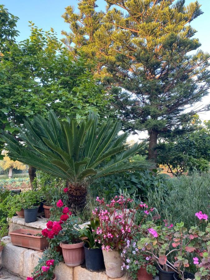 La Dimora Nonna Eugy Villa โปลีญาโนอามาเร ภายนอก รูปภาพ